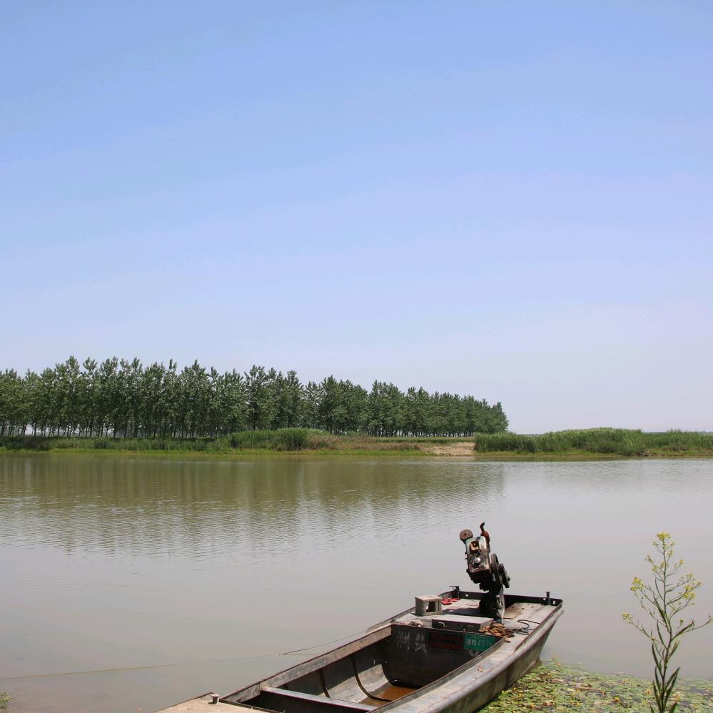 ꪋꪆ᭄名不🍀徐传ღ࿐🥀富甲一方