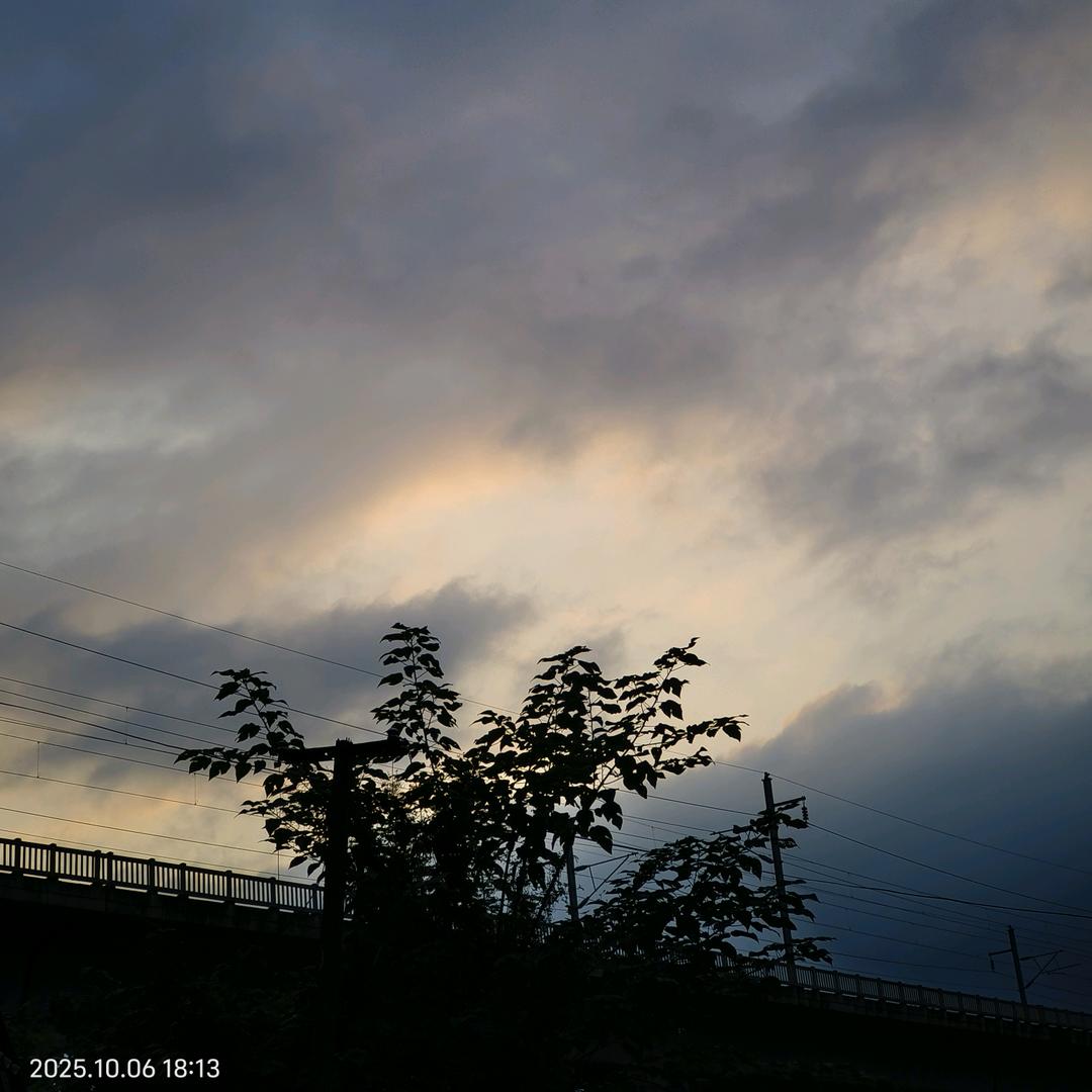 设计（接效果图代画）