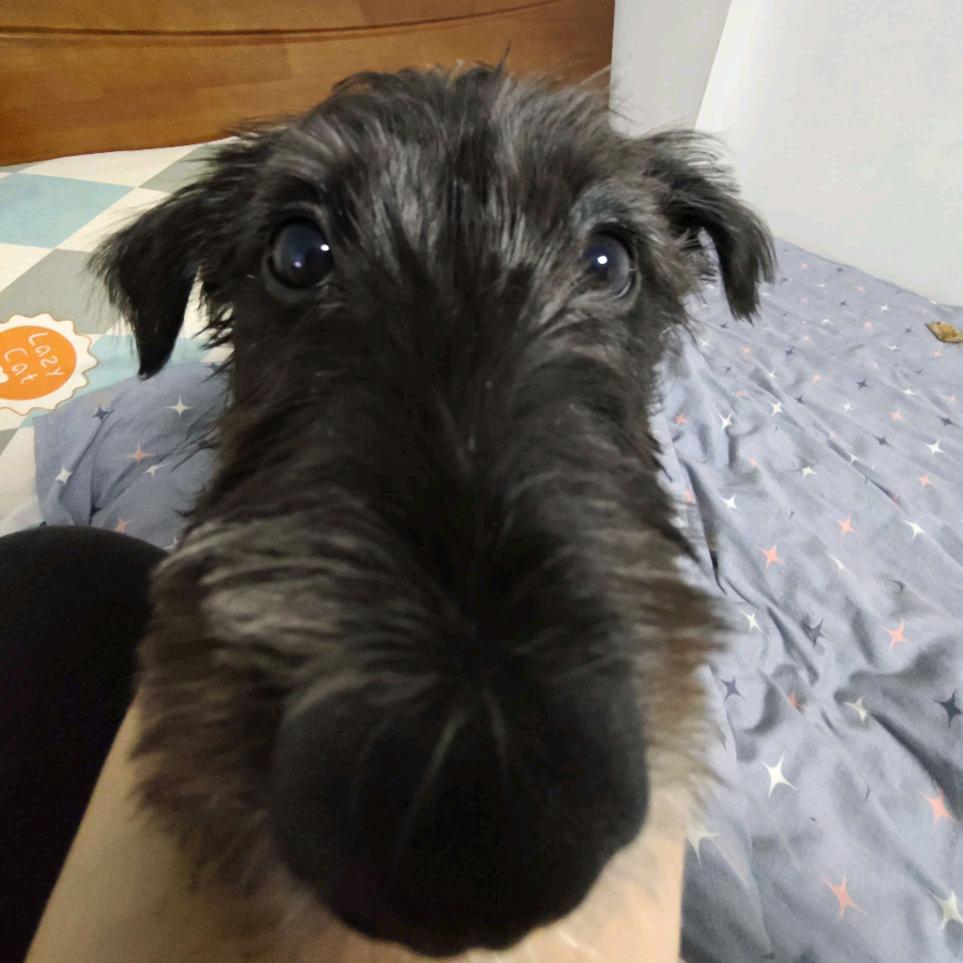 骆秋迟（见过范世錡三次）