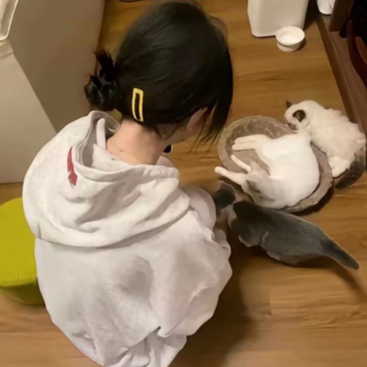 山楂.