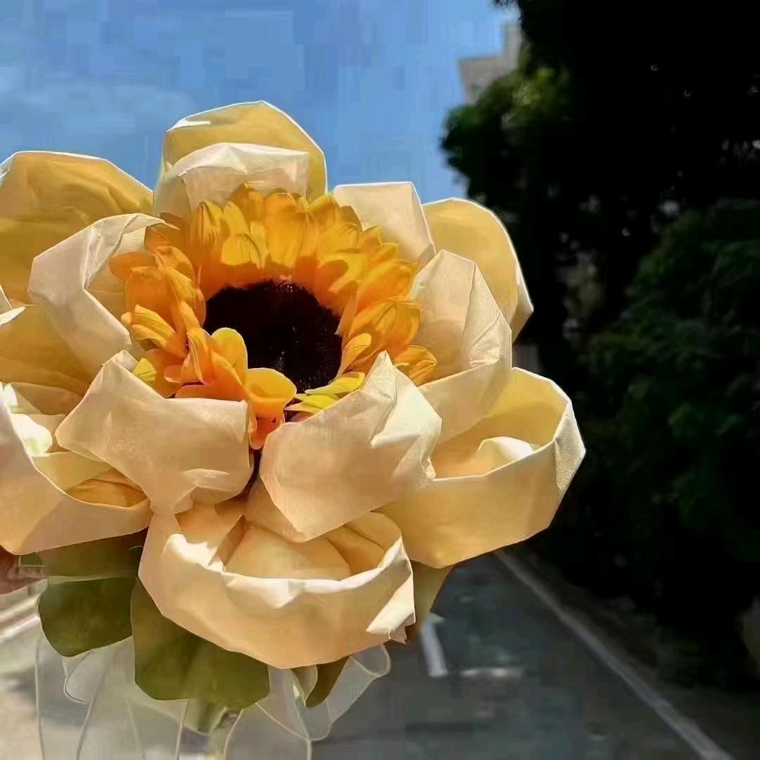 杨宝宝*^o^*搁O_o浅555~