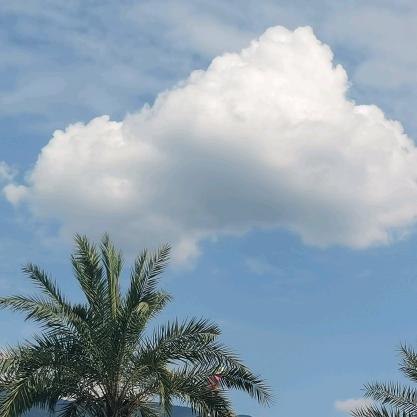 ℋღ᭄如梦初醒💞࿐