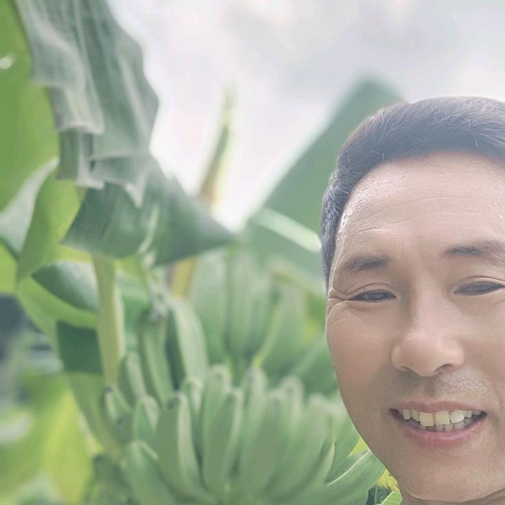 李青云