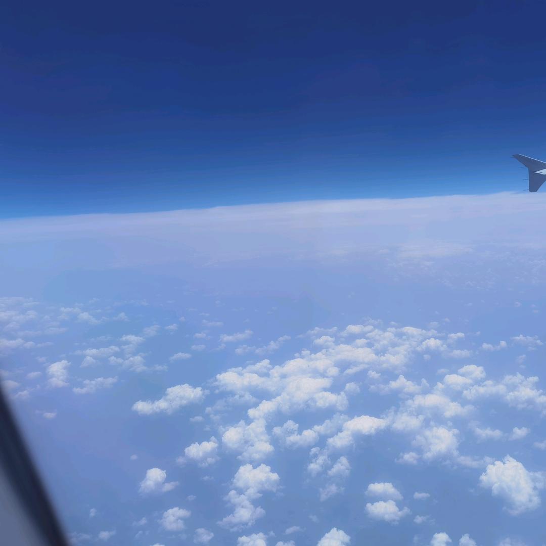 木森(碧海波涛)