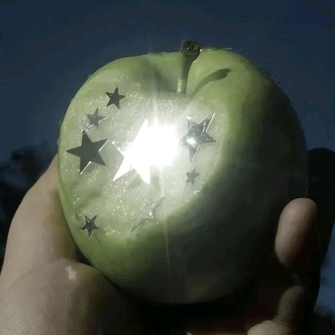 胡萝卜鸡🥕
