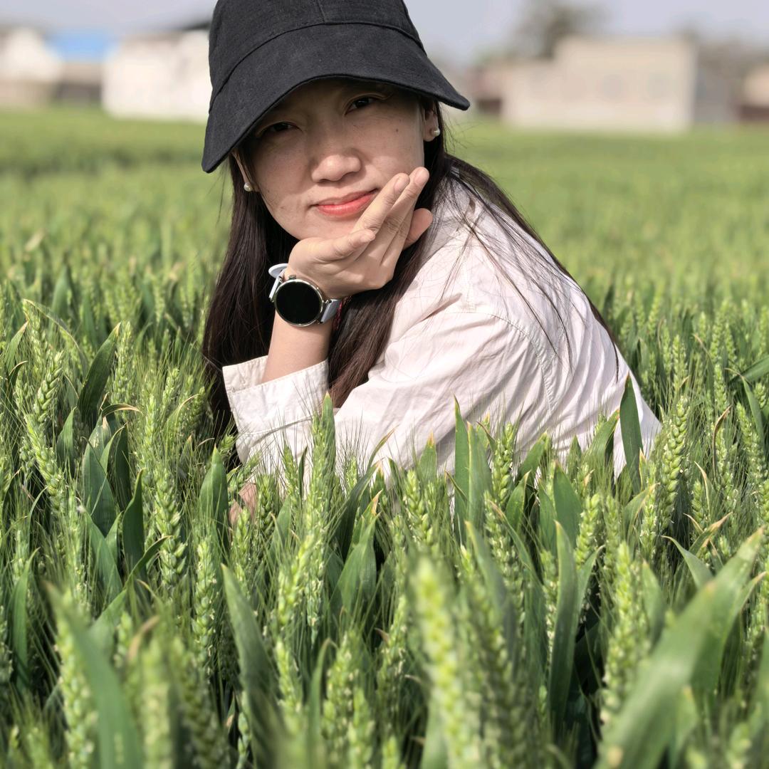 万人迷豫园9号小麦