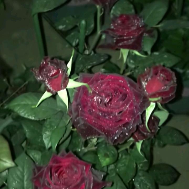 绣