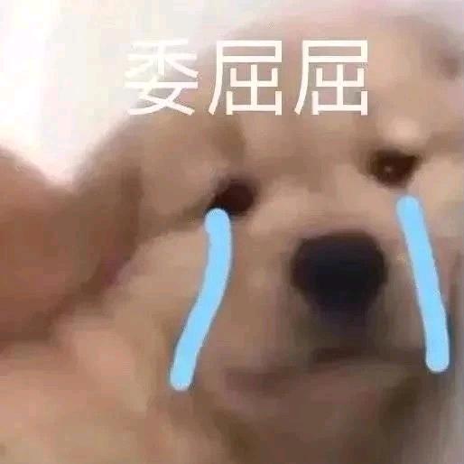 丸子桃桃（鞋子在橱窗）