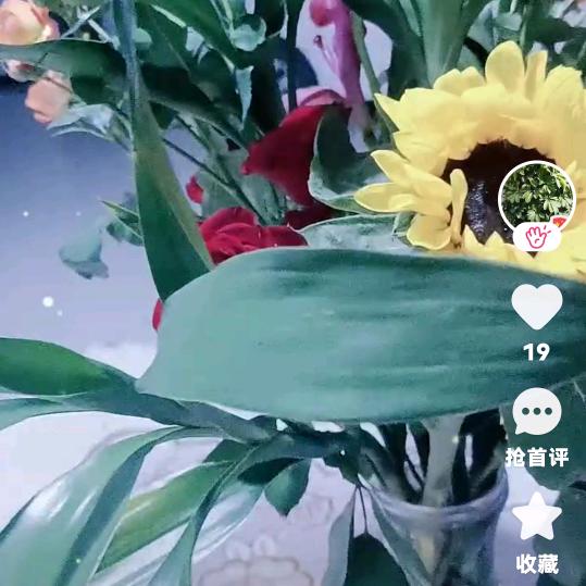 靓颖