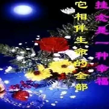 涛哥