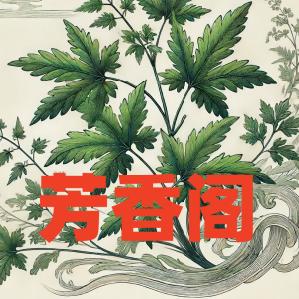 艾草芳香馆
