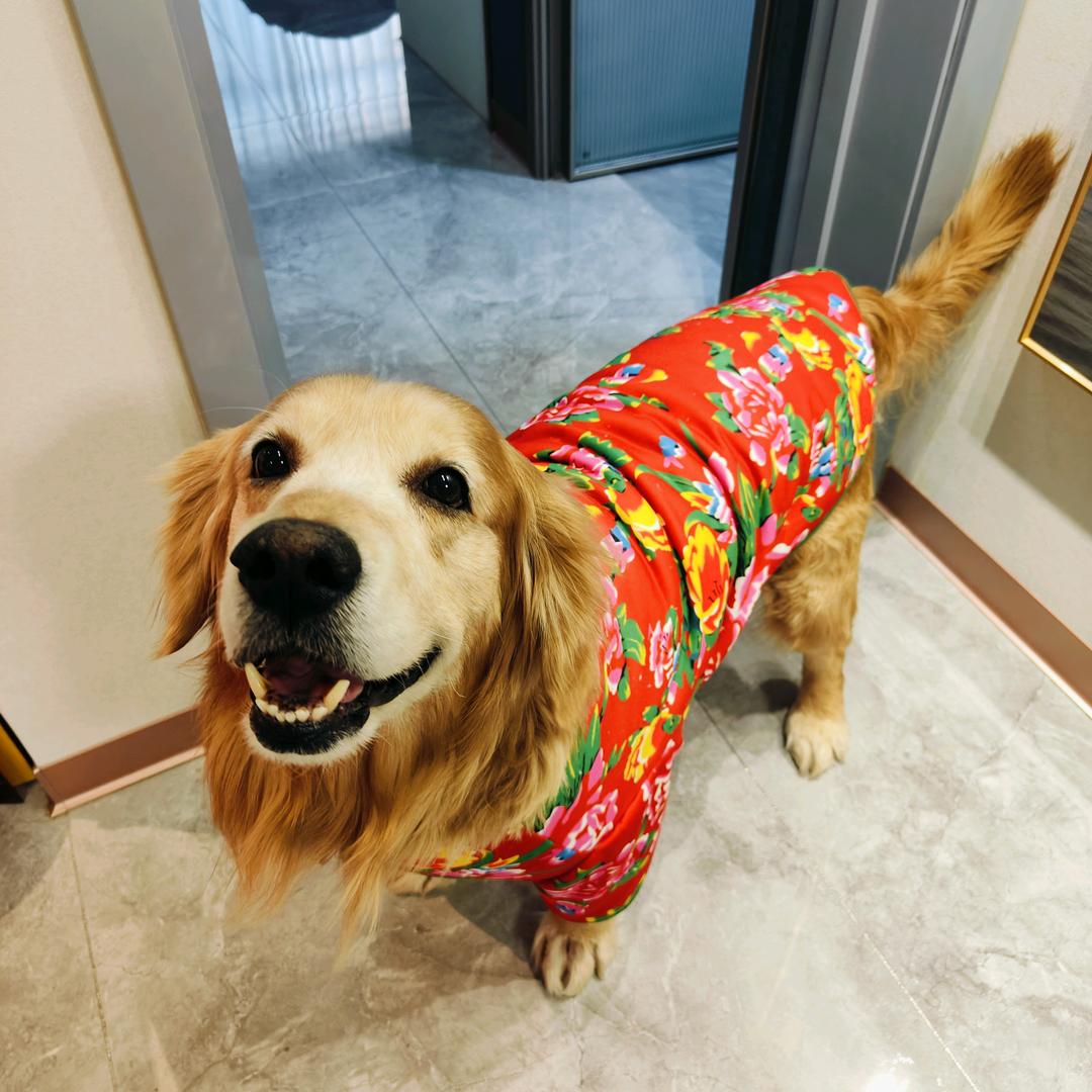 挚爱🩵太子