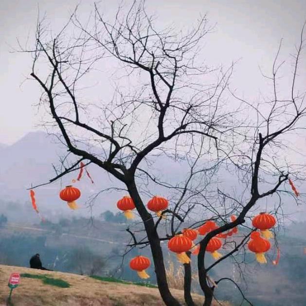 幸福真爱§云如雪