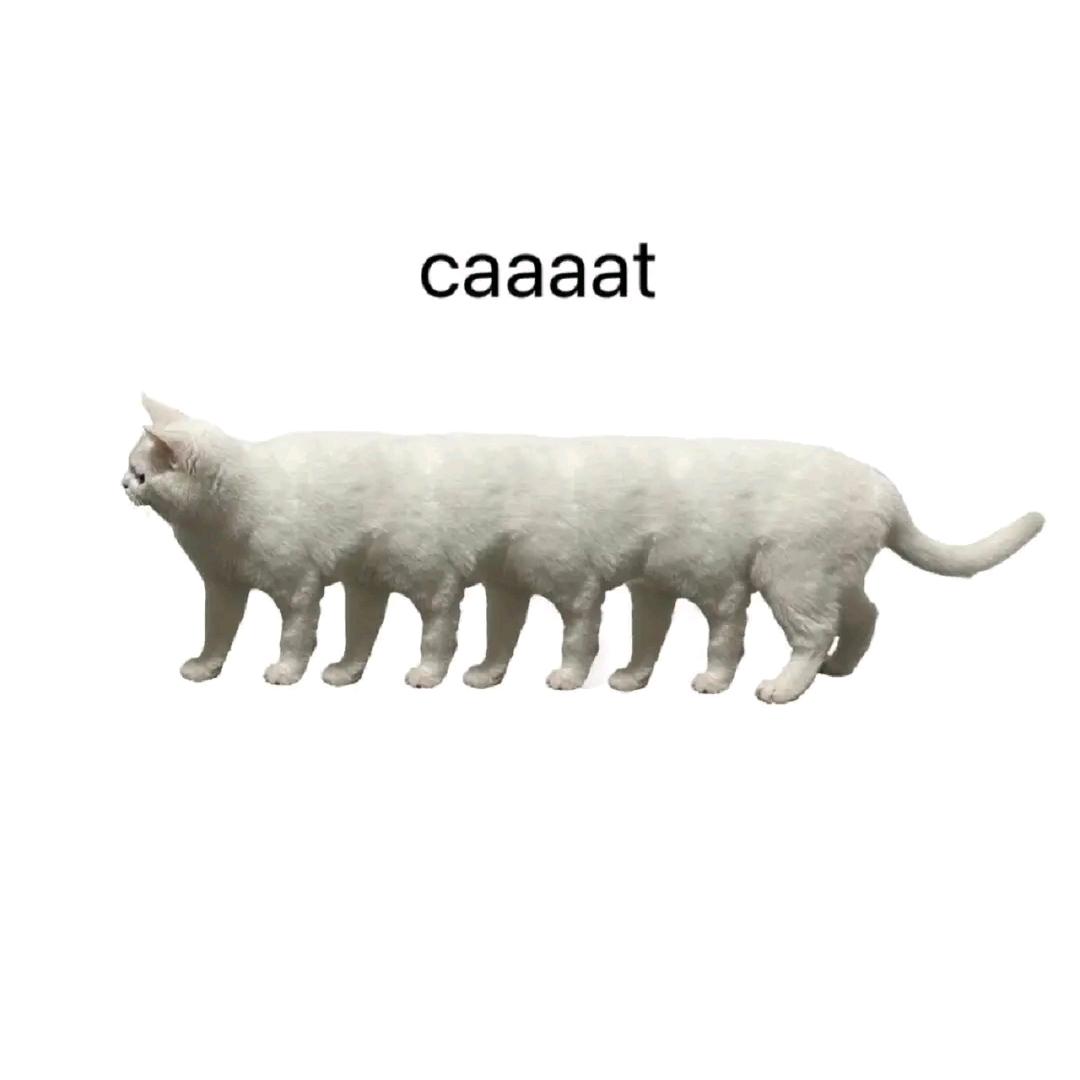 caaaat