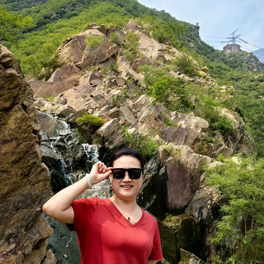 鱼儿