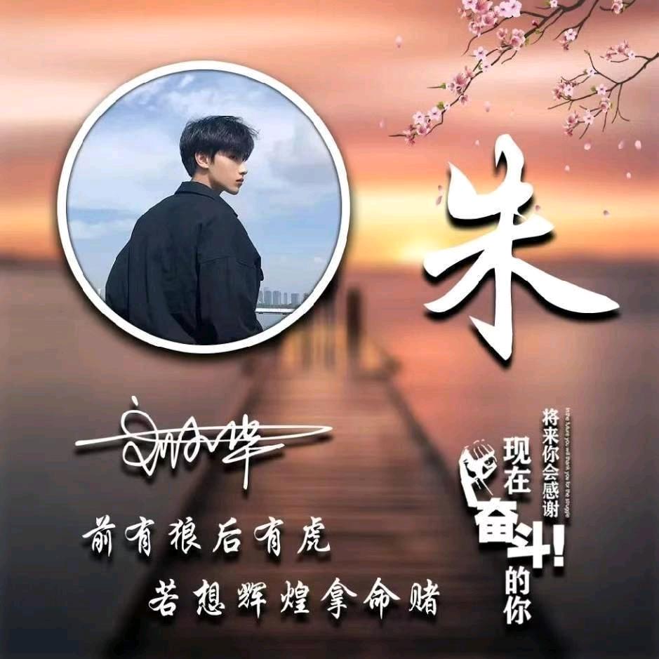 朱颜辞镜花辞树