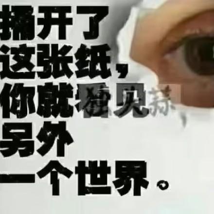 慧眼如炬