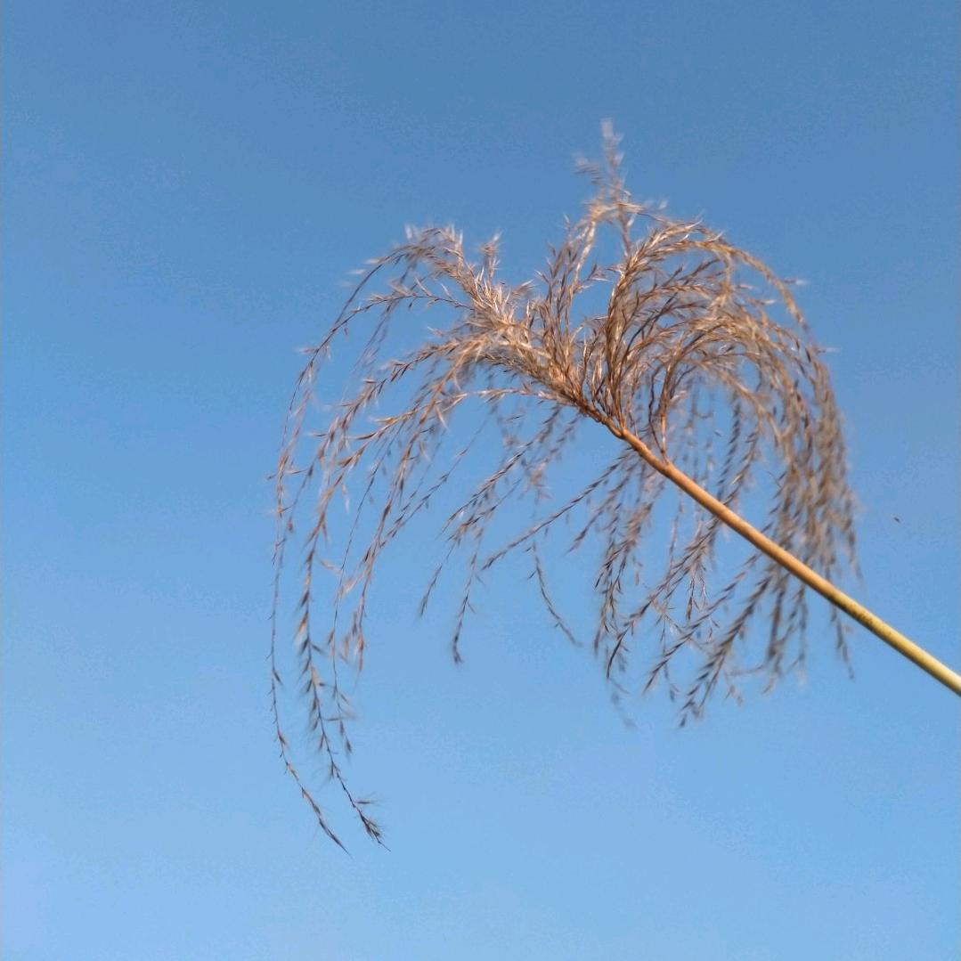 三月