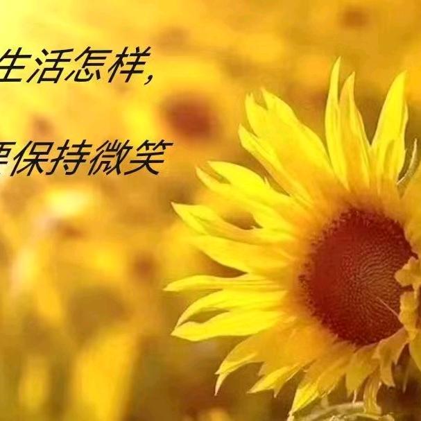 忘情水