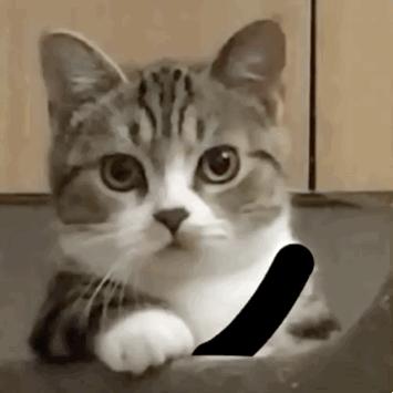 好看分享官