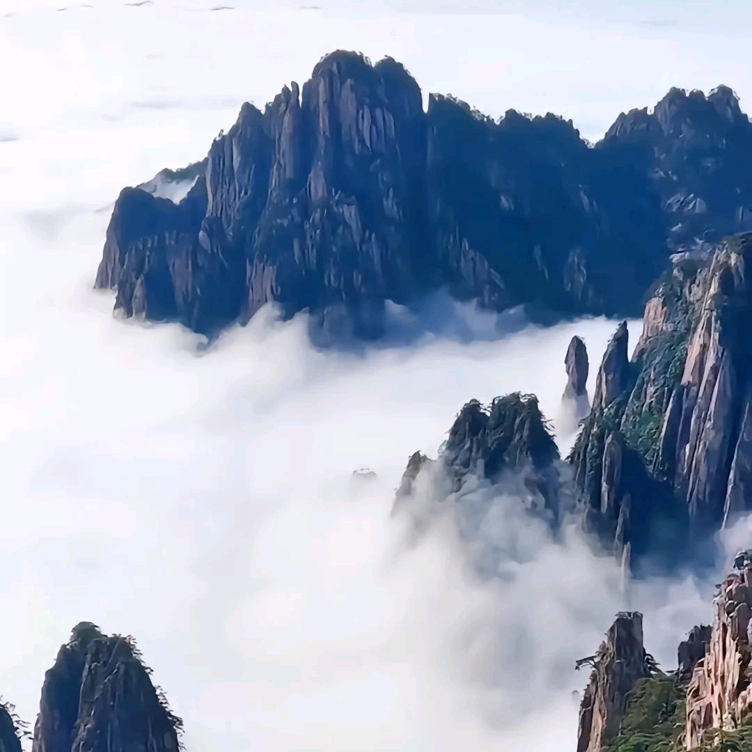 不知何时，天天有你