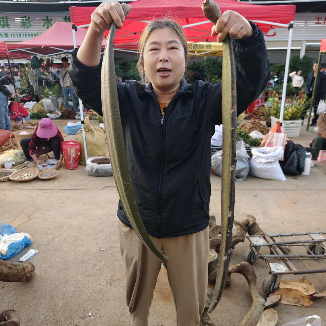 云南老山黄姐
