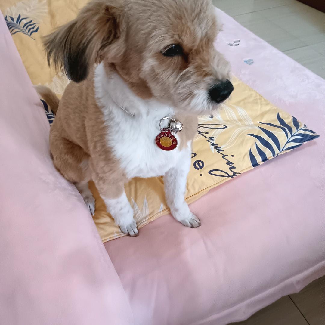 开心