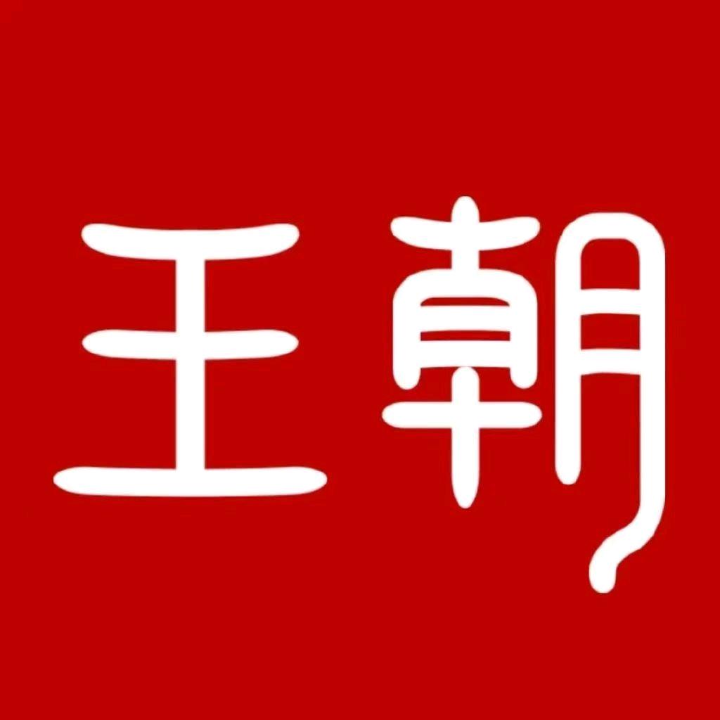 比亚迪王朝（山东国恒店）