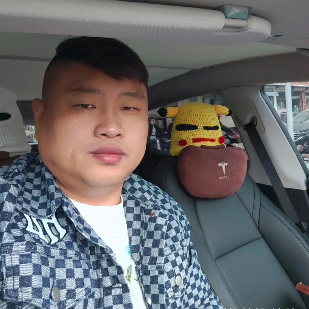 强子V