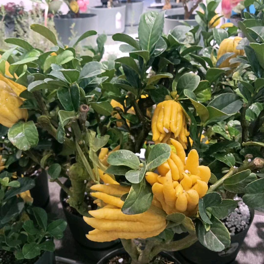 走好每一步