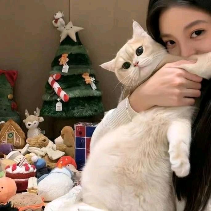 土豆丝彭