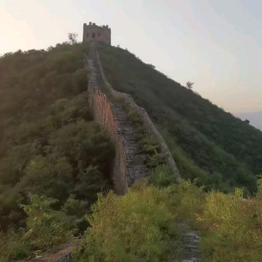军