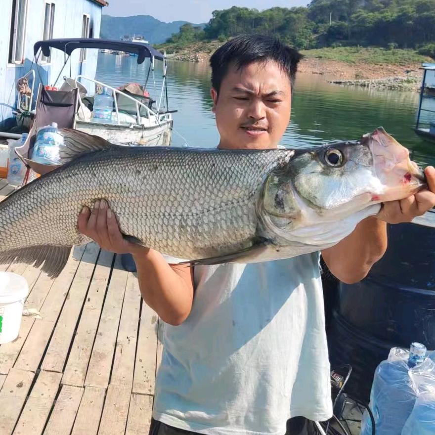蔗香棚主小刘涛