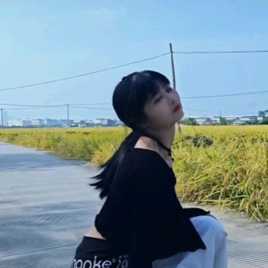 宋姐