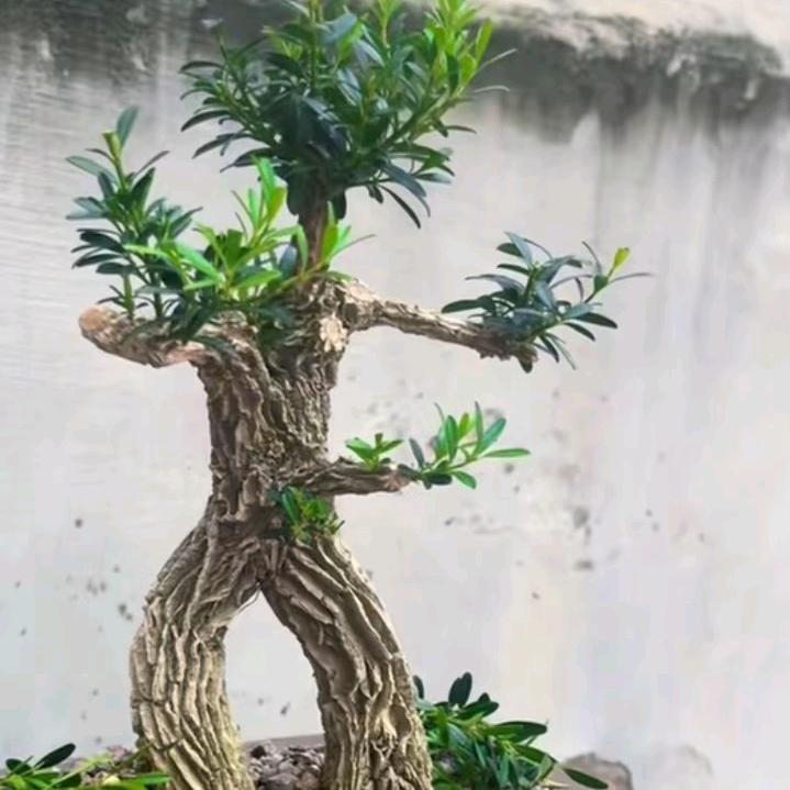 点墨