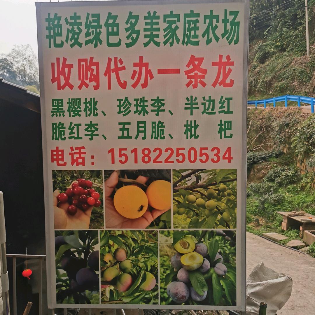 艳凌绿色多美家庭农场