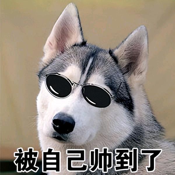 矜持