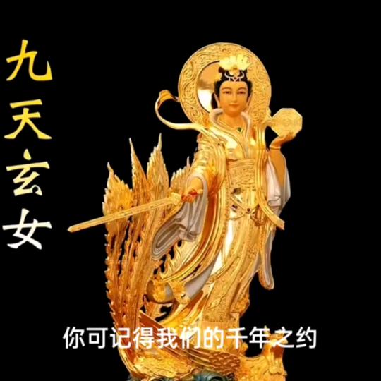 财运找我来