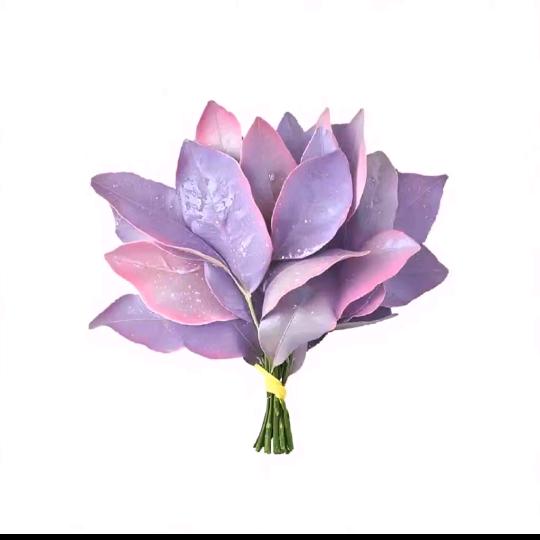 小企鹅，