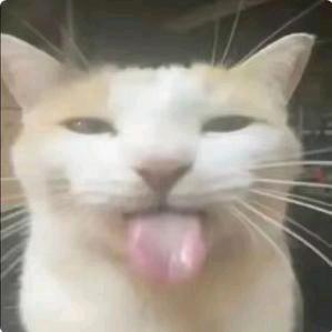 汐见朔也