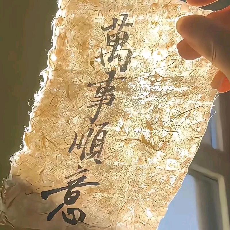 拾光小鹏哥