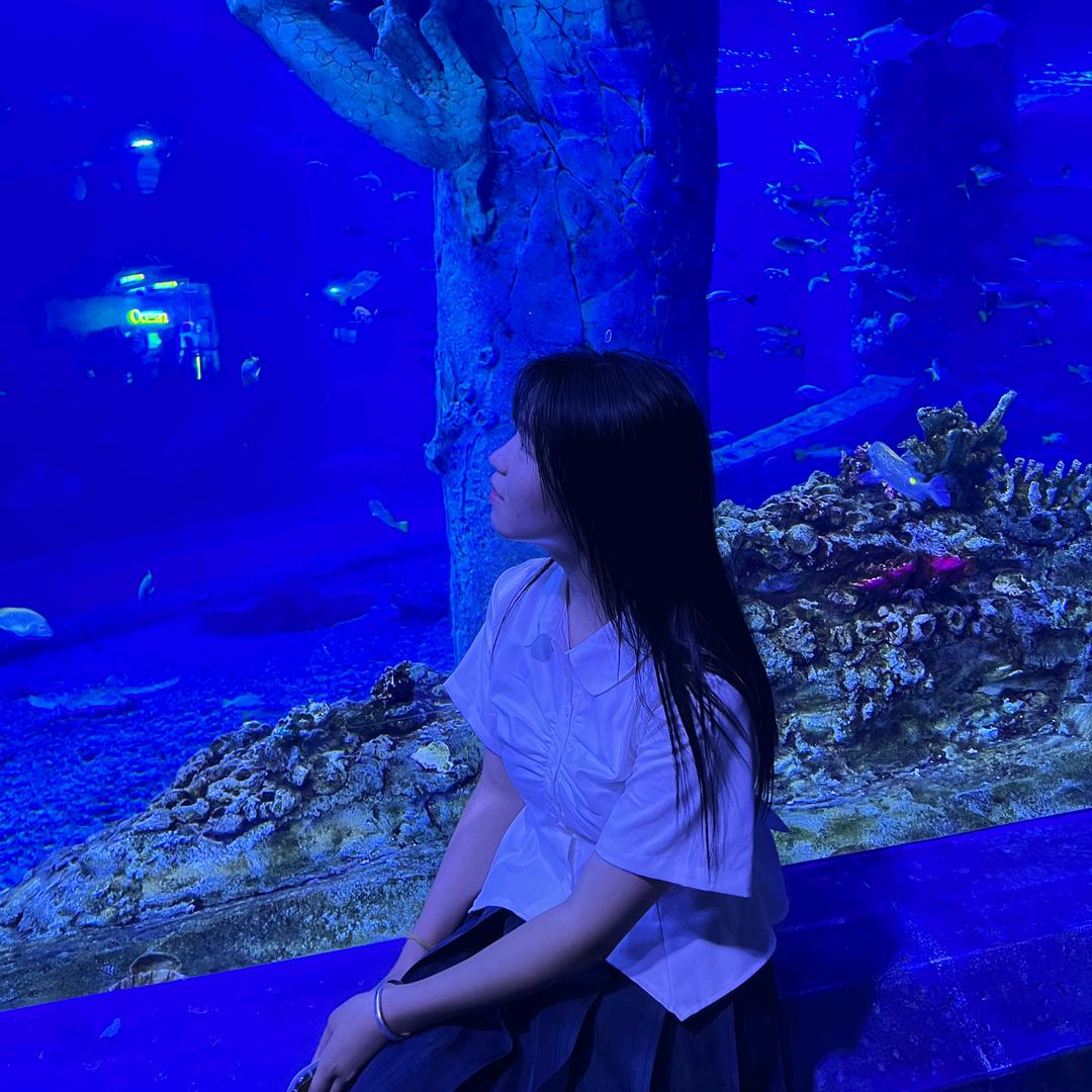小鱼干儿y