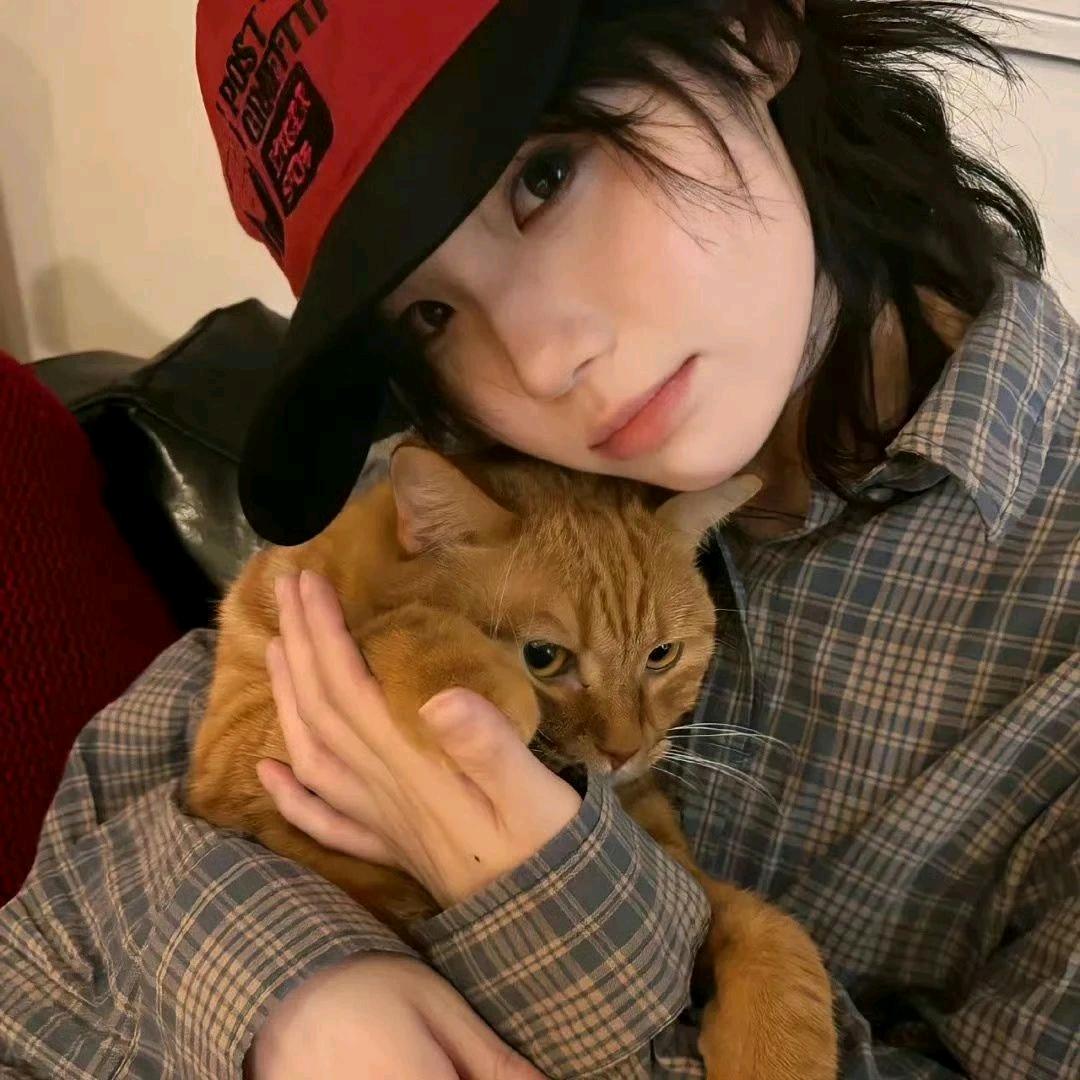 hsha