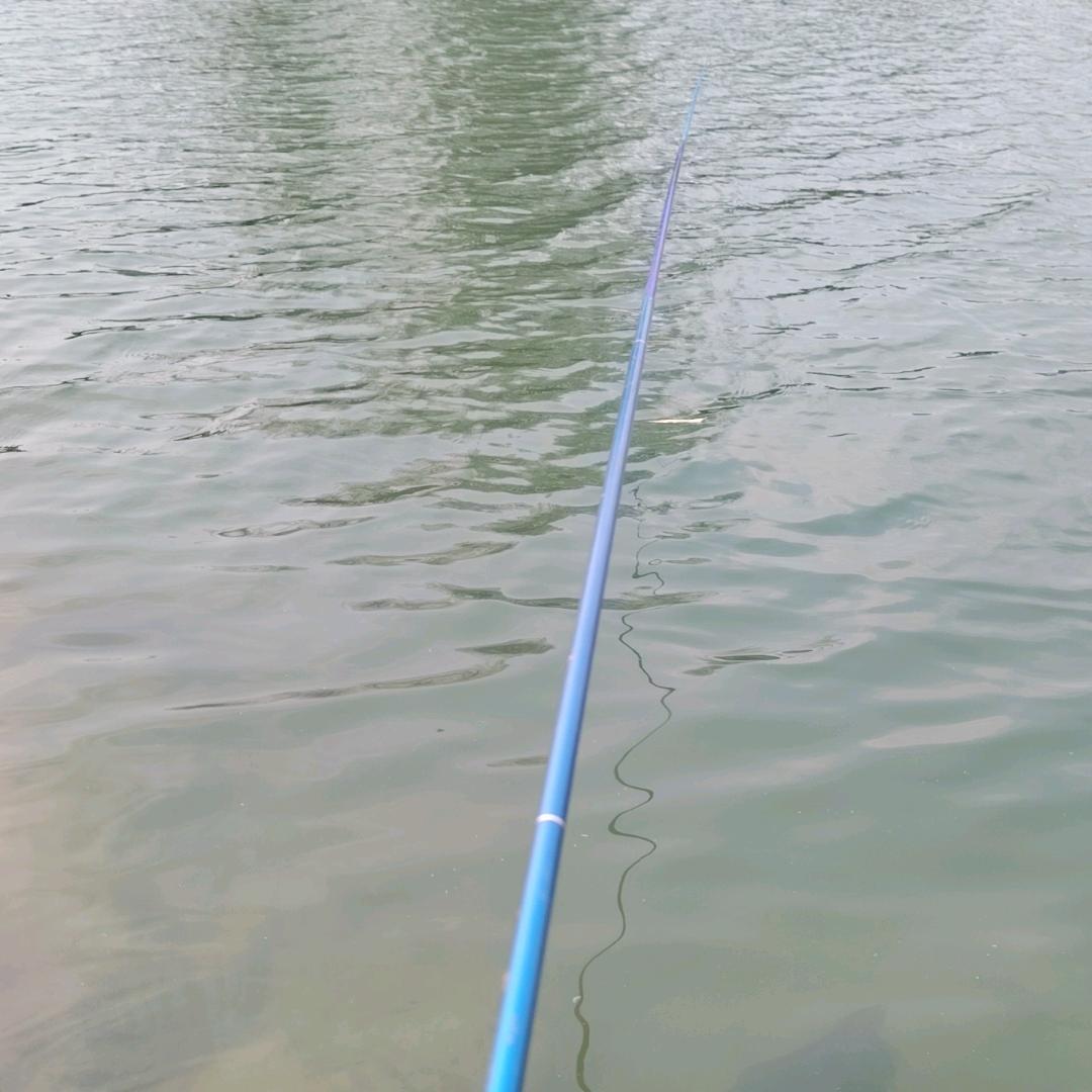 浪中行