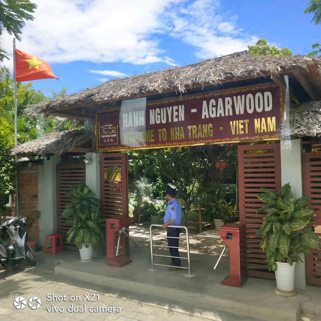 小鱼，（正能量）