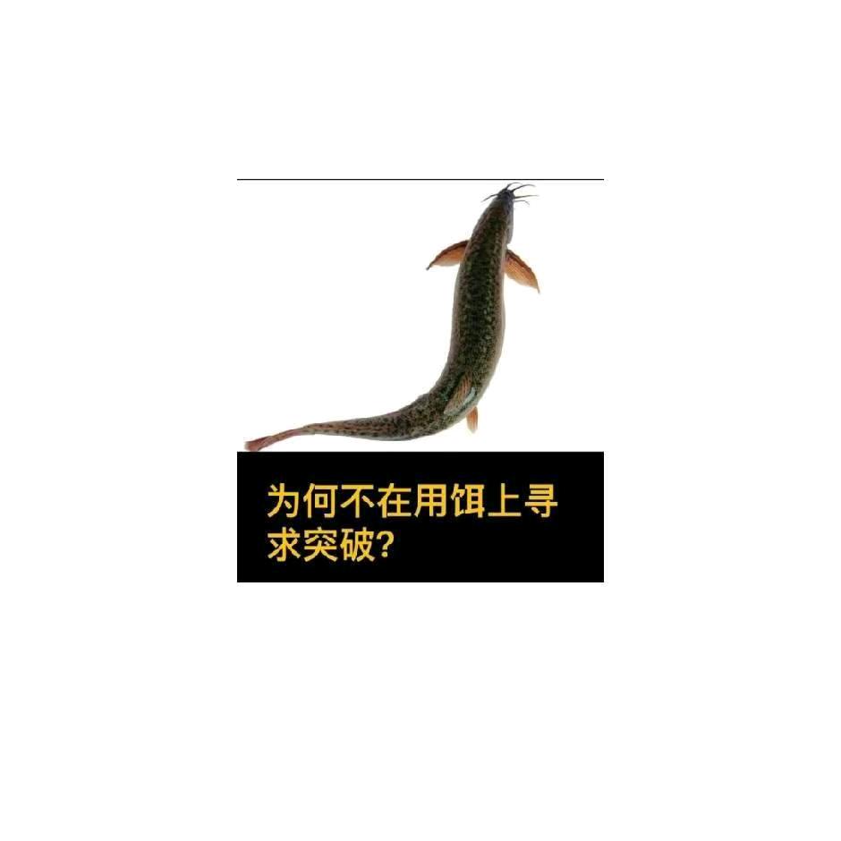 水面魔术师