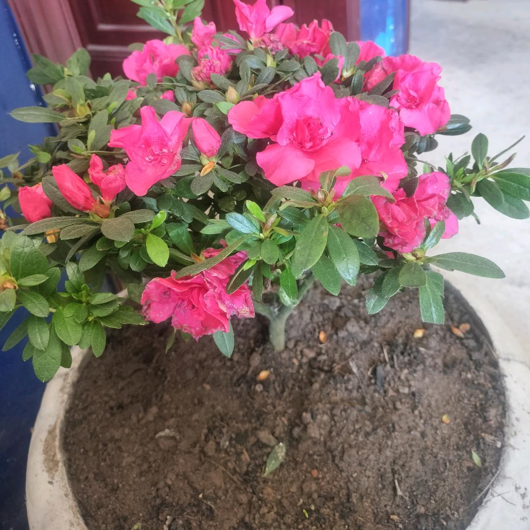 柱哥文化传媒