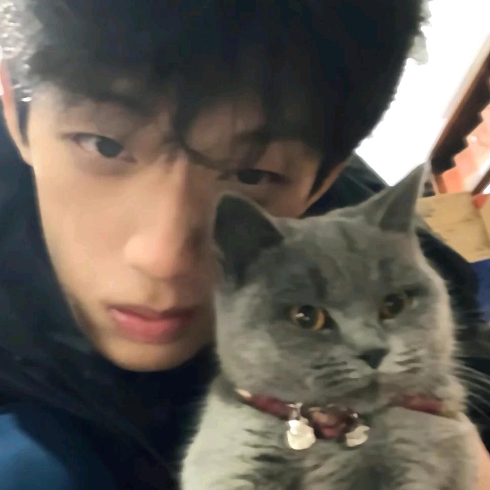 糕冷小帅（🉑私信）