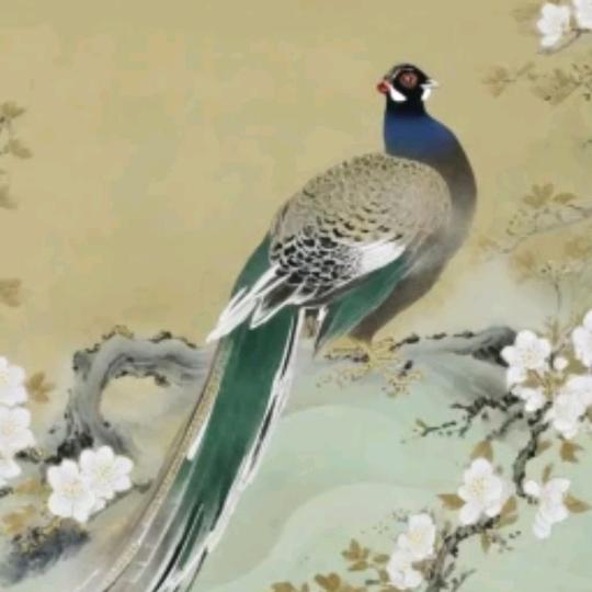 勇闯天涯