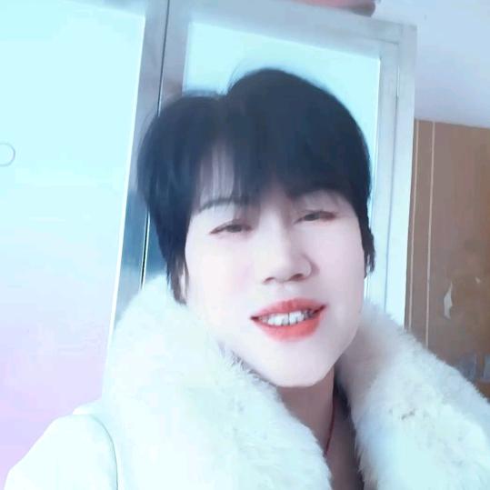 冰山雪梅